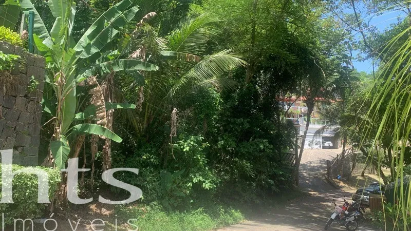 Terreno em Siriuba, Ilhabela — foto 4