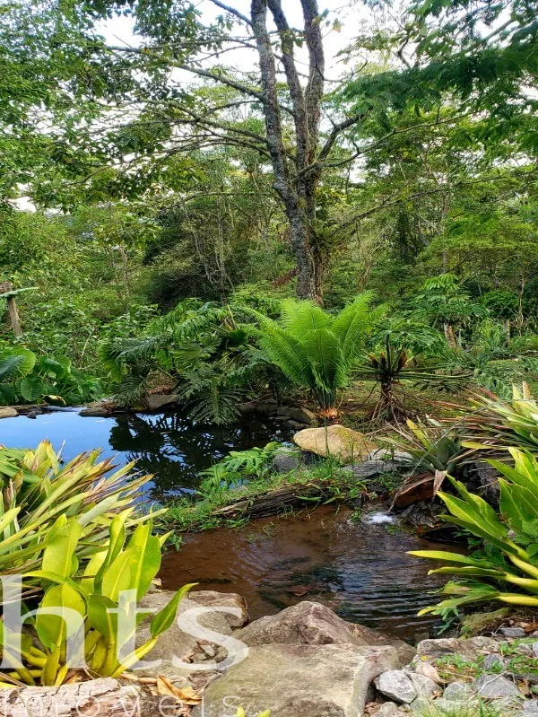 Chacara em Paraibuna, Paraibuna — foto 20